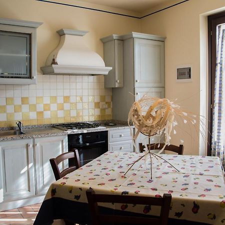 Room In Farmhouse - Apartment In Farmhouse Casolare Dei Fiori 基耶西瑙扎内塞 外观 照片