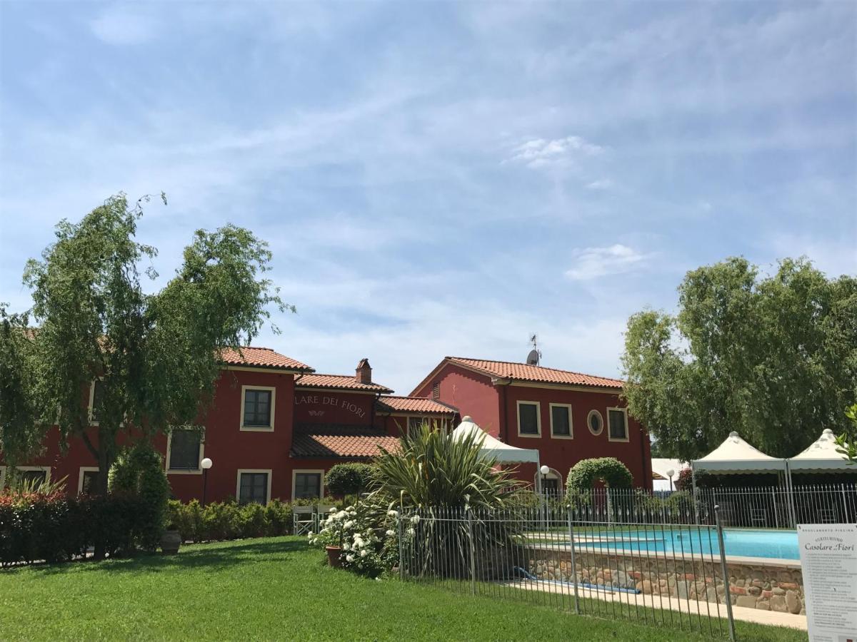 Room In Farmhouse - Apartment In Farmhouse Casolare Dei Fiori 基耶西瑙扎内塞 外观 照片
