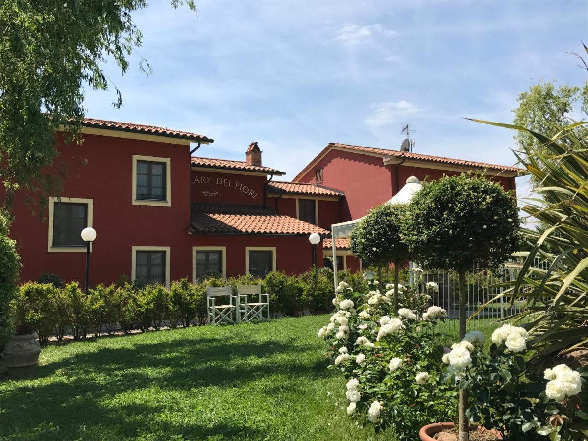 Room In Farmhouse - Apartment In Farmhouse Casolare Dei Fiori 基耶西瑙扎内塞 外观 照片